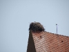 DSC_9156.jpg