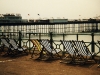 Brighton