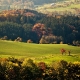 Natur.