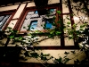 hausimfenster.jpg
