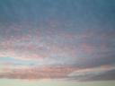 dawn 3