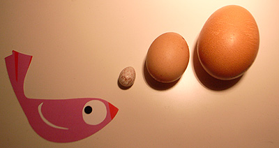 Eier-Vergleich 2 Von klein nach groß