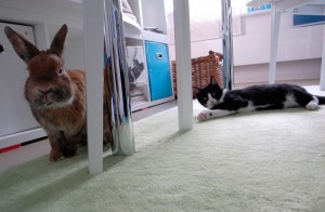 Paul und Nero Paul und Nero