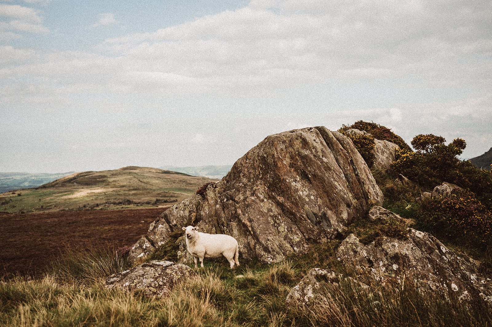 North Wales Wild Camp