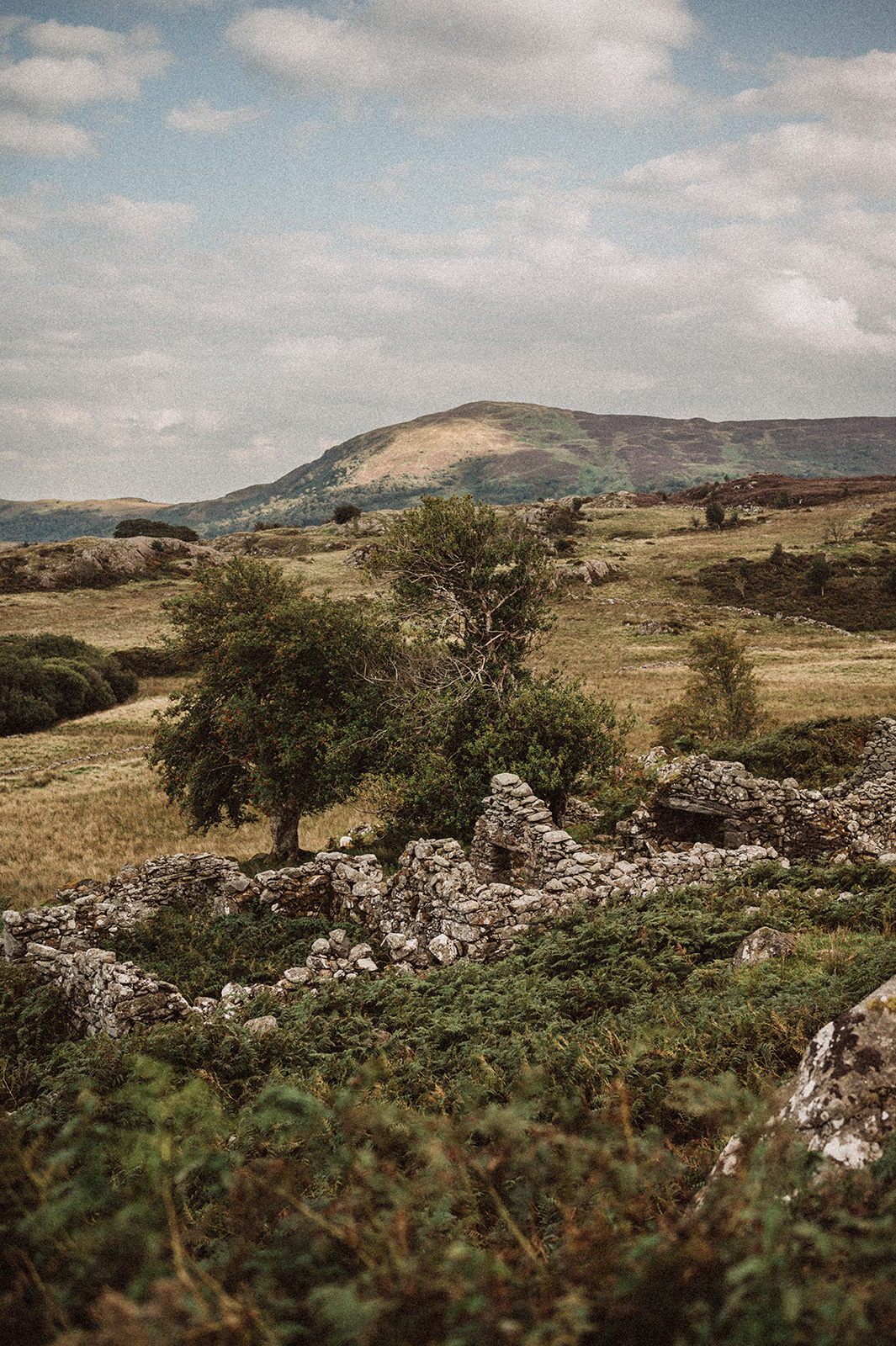 North Wales Wild Camp