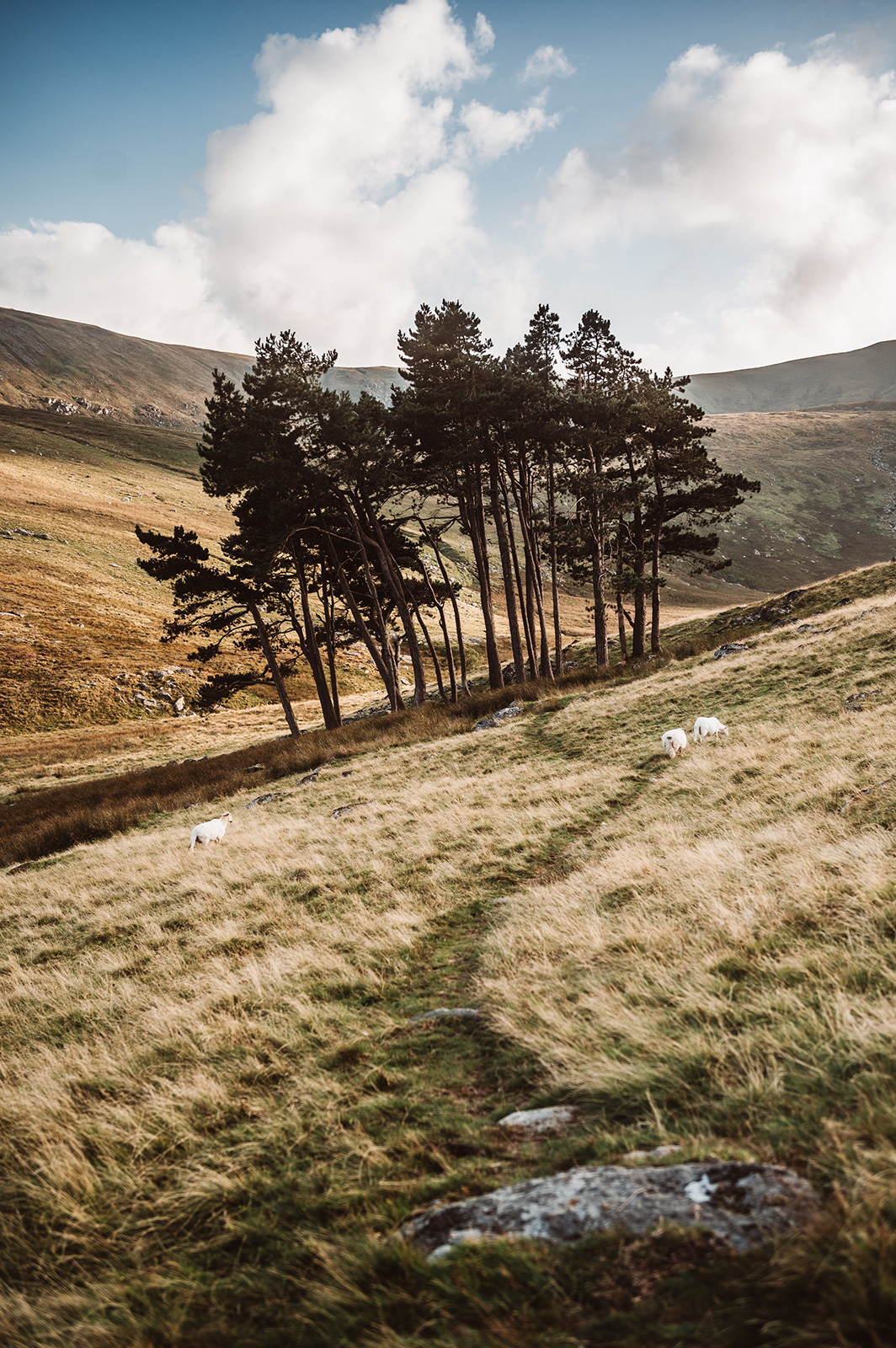 North Wales Wild Camp