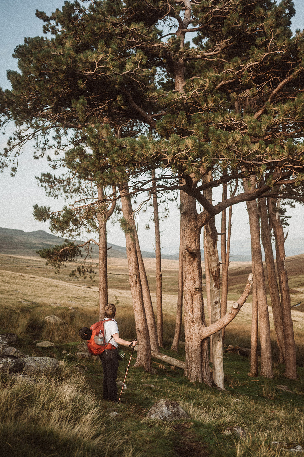 North Wales Wild Camp