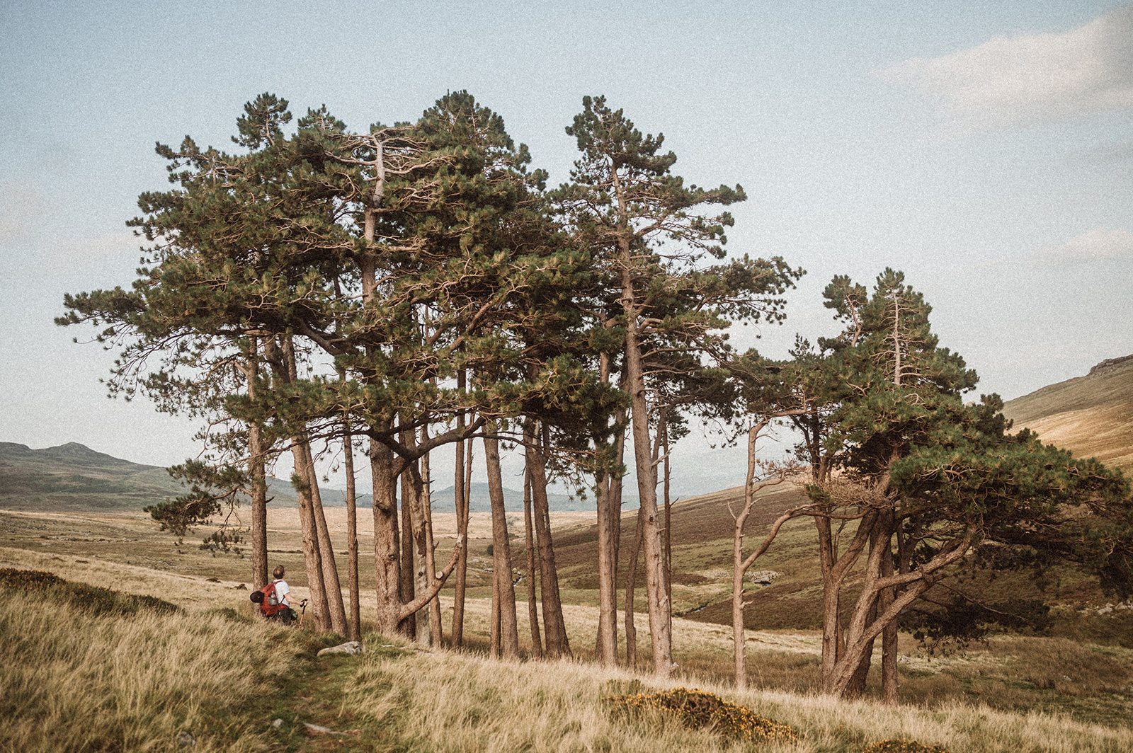 North Wales Wild Camp