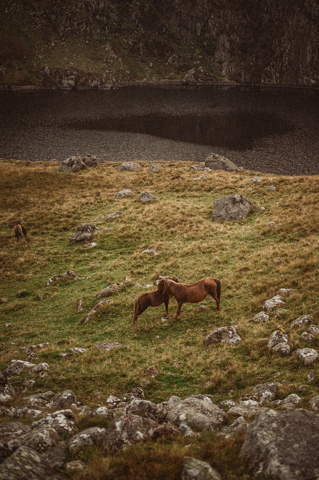 North Wales Wild Camp